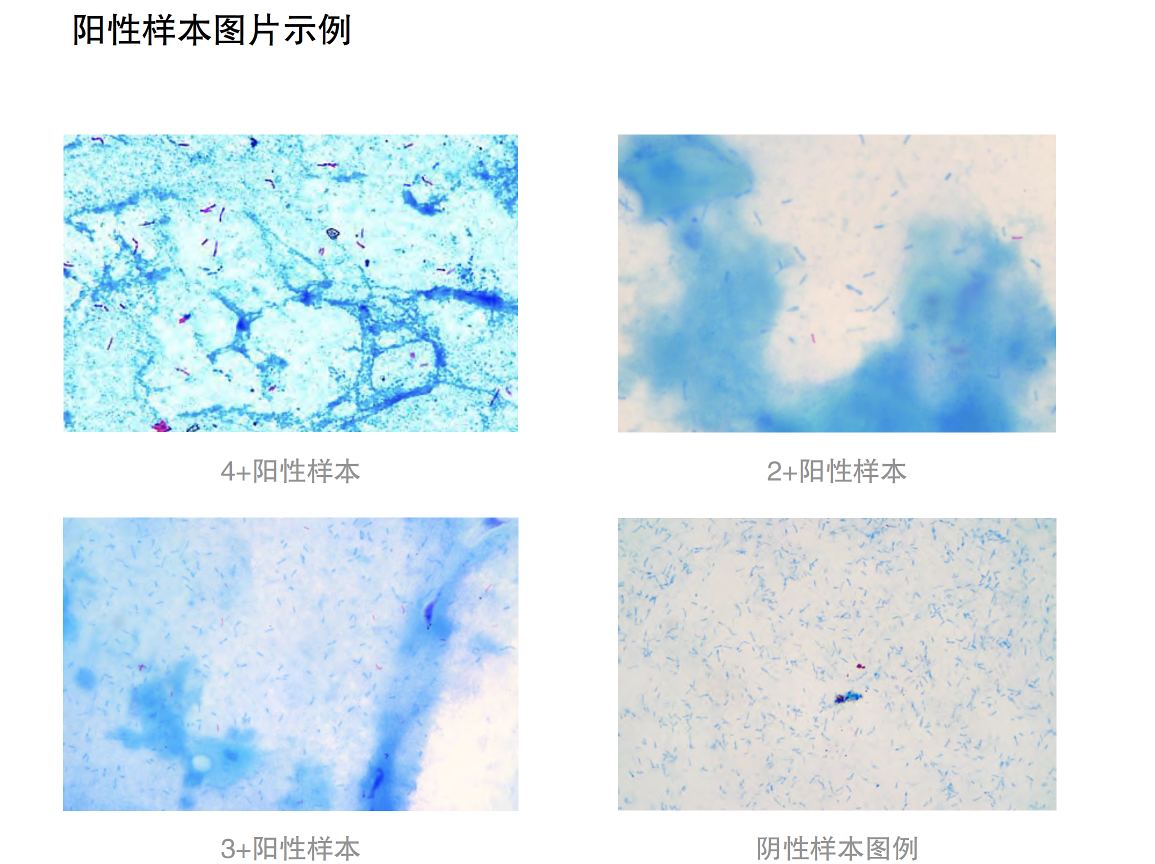 截屏2023-03-15 16.34.08.png